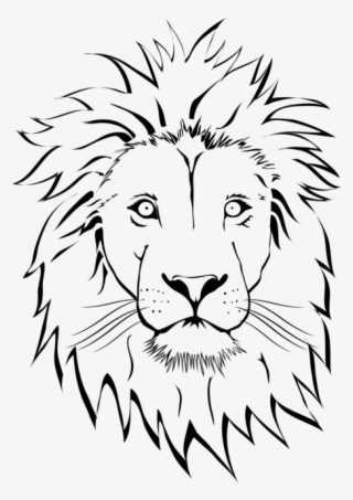 Lion Face Drawing Png #8365440