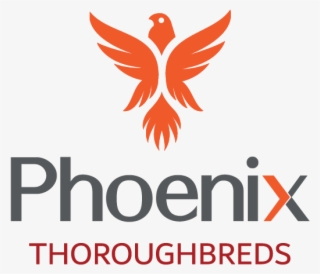 Phoenix Bird Png #8366886