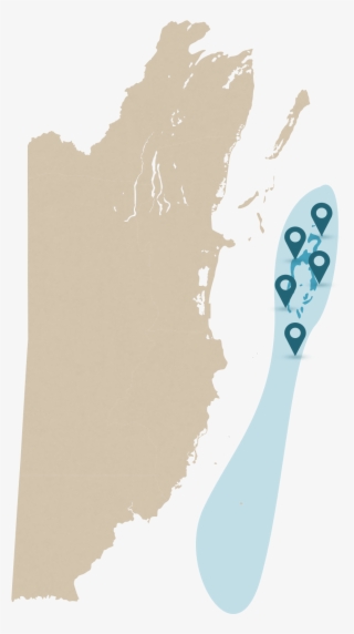 Belize Reef - Drawing Of The Map Of Belize #8368000