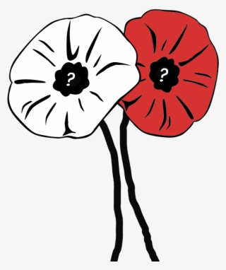 Poppy #8368543