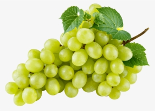 Productores De Frutas Y Verduras - عنب أخضر #8370205