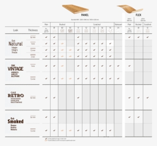 Overview Of The Possibilities - Colorfulness #8370618