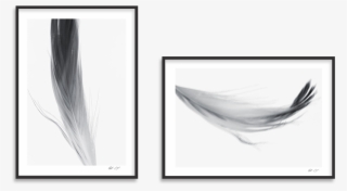 Popular Feathers Packages - Sketch #8370931