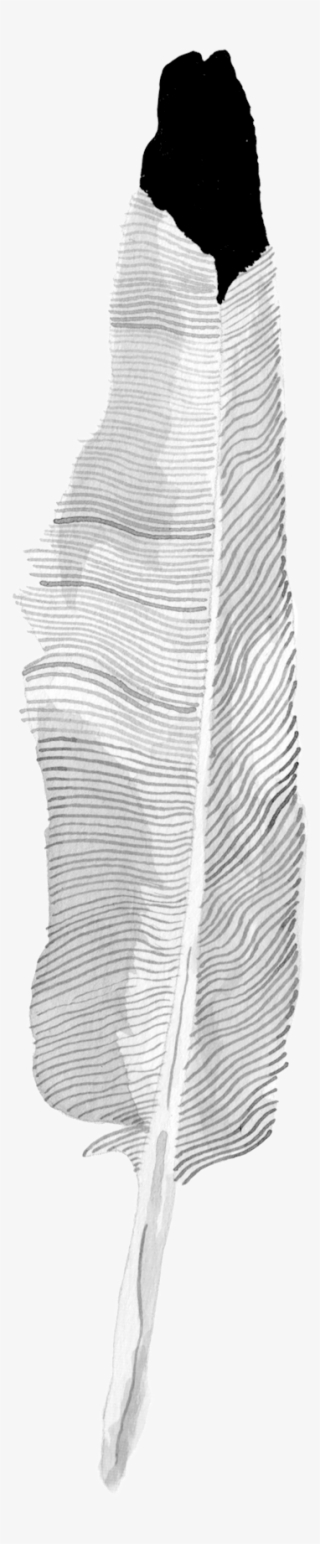 Layer5 - Monochrome #8371311