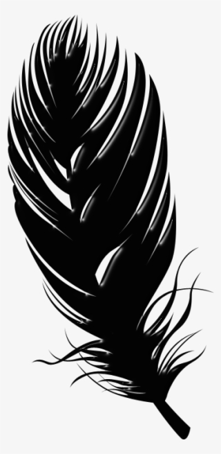 Black Feathers 800 X 400 Click Image For Full Size - Bird Feather Silhouette Png #8371747 Black Feathers 800 X 400 Click Image For Full Size - Bird Feather Silhouette Png #8371747