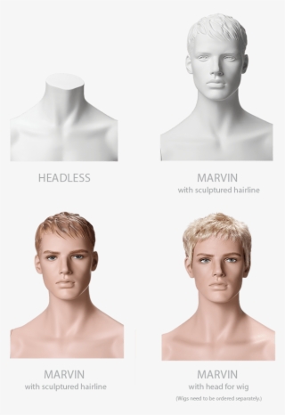 William Amirpour - Mannequin #8371750 William Amirpour - Mannequin #8371750