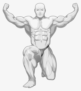 Bodybuilding Clipart Gym Body - Bodybuilding #8372272