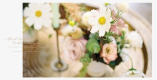 Willow & Magnolia Home Page Slider-03 - Daisy #8372584