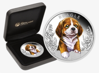 Beagle Png #8373028