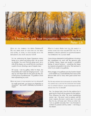 Peter Lik #8374046