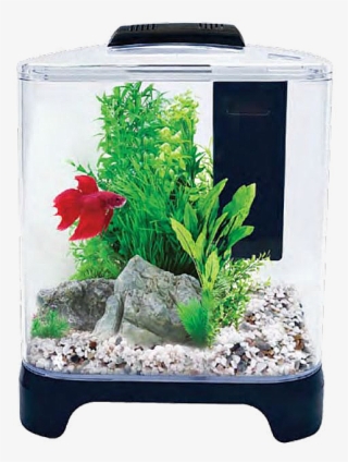 Betta Haven Acrylic Tank 7 Litres - Aqua One Pico #8374165