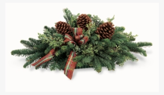 Christmas Tree #8374711