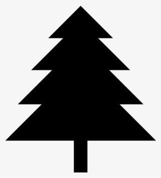 Tree Value Damage Assessment - Pine Tree Icon Png #8374774