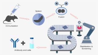 Monoclonal Diagram - Diagram #8375630