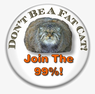 Fatcat Buttonpic - Pallas Cat #8375766