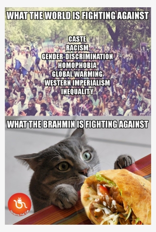 Savarna Fat Cat On Twitter - Prosciutto Cat #8375846