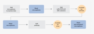 Xmap Antibody Coupling Kit Workflow Overview For Use - Diagram #8376067