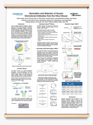 Scientific Posters From Antibody Solutions - Ups Label Japan #8376394