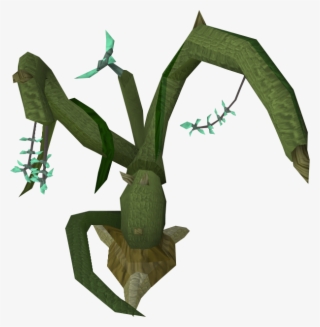 Wild Jade Vine - Wallace's Flying Frog #8376999