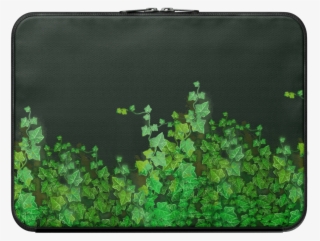 Vines - Vines - Vines - Shamrock #8377467 Vines - Vines - Vines - Shamrock #8377467