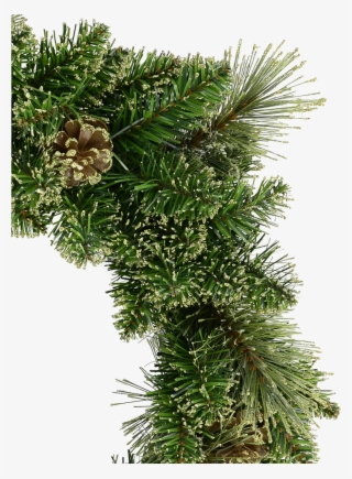 Natural Look Pine Wreath With Pine Cones & Lightly - Christmas Tree #8377637