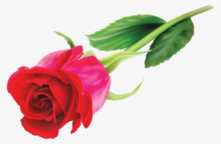 Png Rosas Rojas - Dziękuje Że Jesteś Mamo #8377899