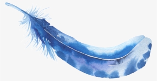 Aquamarine Feather Decorative Free Transparent Background - Feather #8377901
