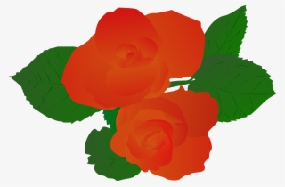 Illustration Illustrator Plant Rose Hand Drawn Red - Vector Graphics #8377963