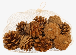Natural Pine Cones - Fruit #8378276 Natural Pine Cones - Fruit #8378276