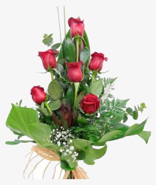 6 Rosas Rojas - Garden Roses #8378501