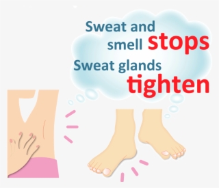 3 John 2 Dear Friend, I Pray That You May Enjoy Good - Poster #8379113