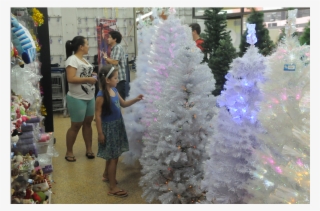 Los Árboles De Navidad Blancos También Son Solicitados - Christmas Lights #8379418