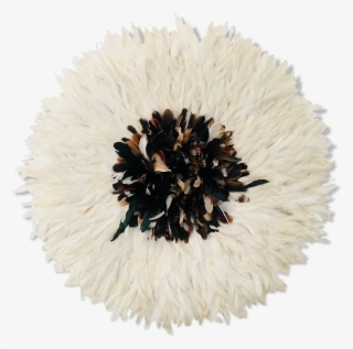 Pincushion Flower #8380585