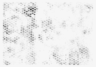 Free Download - Monochrome #8380682