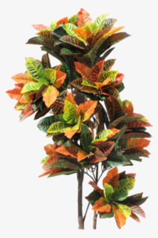 Indoorplant Sticker - Floral Design #8381074