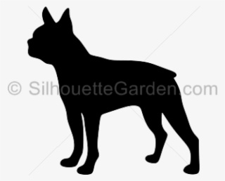 Dog #8381196