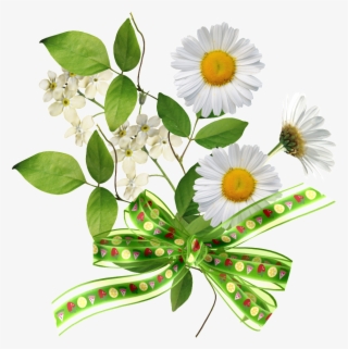 El Png Transparente Del Ramo De Crisantemos Atado Con #8381233 El Png Transparente Del Ramo De Crisantemos Atado Con #8381233