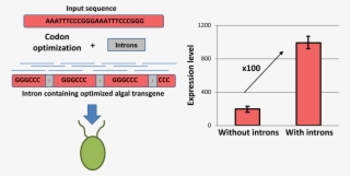 This Is A Significant Milestone For Algal Engineering, - Diagram #8381955