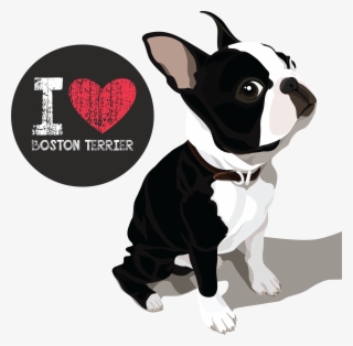 Teespring - Boston Terrier Vector #8382269