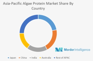 Key Developments - Cores Quentes E Cores Frias #8382772