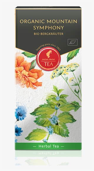 Chinese Hawthorn #8383621