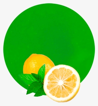 Com/wp And Mint Concentrate 1 - Rangpur #8383658