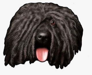 Order That Png Planettm Amazon Dogs 101 Doberman Pinscher - Companion Dog #8384745