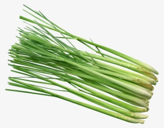 Lemongrass Png - Lemon Grass Hd Png #8384815