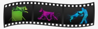 We Follow The Doberman Pinscher Club Of America And - Film #8384825