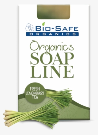 Fresh Lemongrass Tea - Leek #8385293