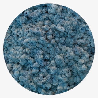 59 Ice Blue - Мох Стабилизированный Голубой #8385798