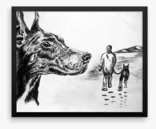 S964663774927356996 P247 I2 W1000 - Australian Cattle Dog #8385963