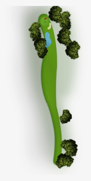 Map-12 - Hornwort #8386085