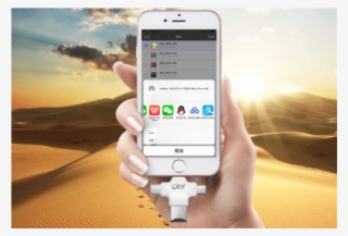 Click Image For Gallery - Desert Sun #8386952